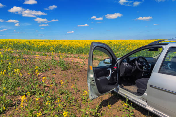 As the morning sun casts its gentle rays, an idyllic landscape unfolds with lush green fields. Traces of a tractor's path add a touch of rustic charm to the scene, capturing the essence in Dorset, South England, United Kingdom