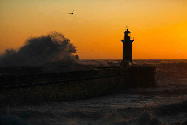 istock The silhouette of a lighthouse being washed by a huge wave during sunset. 1406345494