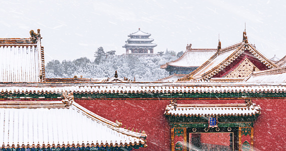 Forbidden City in snowstorm