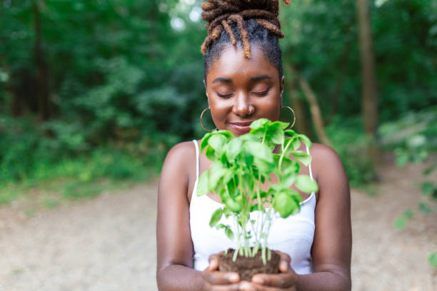 Closeup image of a woman hands holding seedling. Female gardener hands holding a sapling at greenhouse. Closeup image of a woman hands holding seedling. Female gardener hands holding a sapling at greenhouse. reforestation stock pictures, royalty-free photos & images