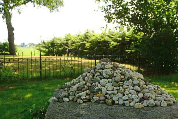 Front yard at new apartment building with gray gravel stones and a lone small tree