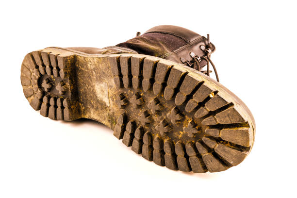 brown leather shoe close up