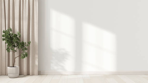 istock Interior design background in white tones with copy space. Empty wall, parquet floor and potted plant 1406352785