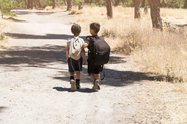 multhietnic latin and caucasian children walking together on the woods with backpacks on a summercamp