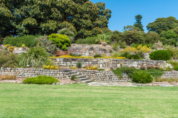 istock Royal Botanic Gardens in Sydney, Australia 1406353801