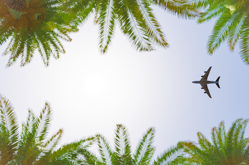 3D illustration of plane flying in blue sky over lush tropical plants on summer day on resort