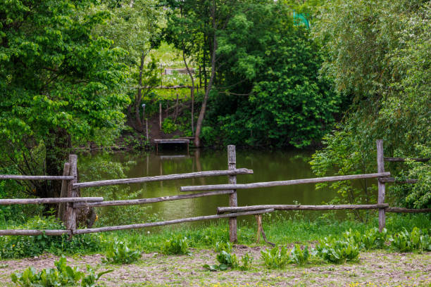 istock rustic log fence in front of pond or river with small pier 1406358304