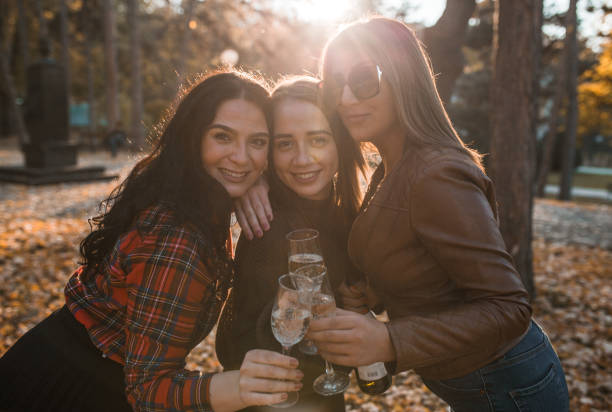 istock Best friends in the park, drinking champagne and looking at camera 1406358542