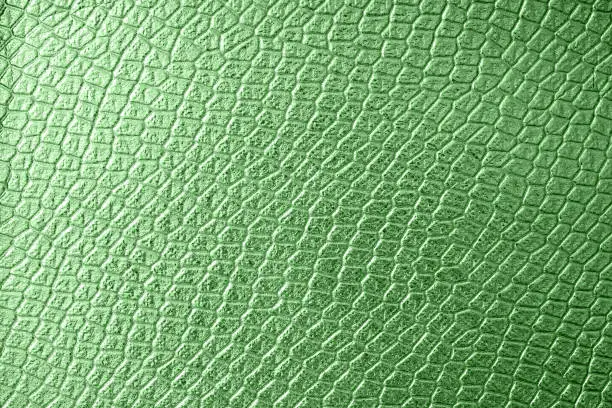 Green crocodile or snake skin texture as background for your project with copy space for text. Artificial textile texture