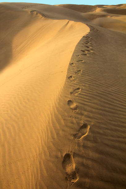 istock Human footsteps in sand in Desert 1406361873