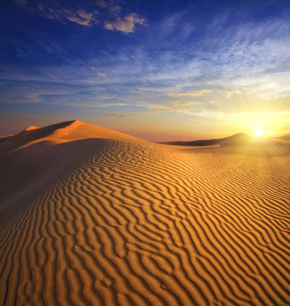 sunset in desert beatiful landscape with sunset in desert thar desert stock pictures, royalty-free photos & images