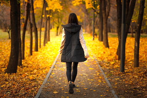 Brunette woman goes into the distance along the autumn alley of city park, his walking on fallen leaves
