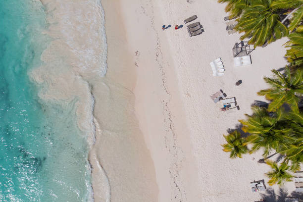 istock beautiful beach with palm trees and white sand, azure waves lapping coastline, 1406364769