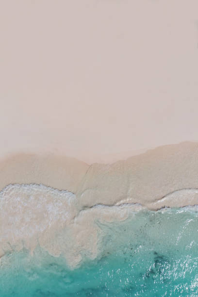 istock Beach top view, beautiful seashore, sand and blue waves. drone shooting, 1406364775