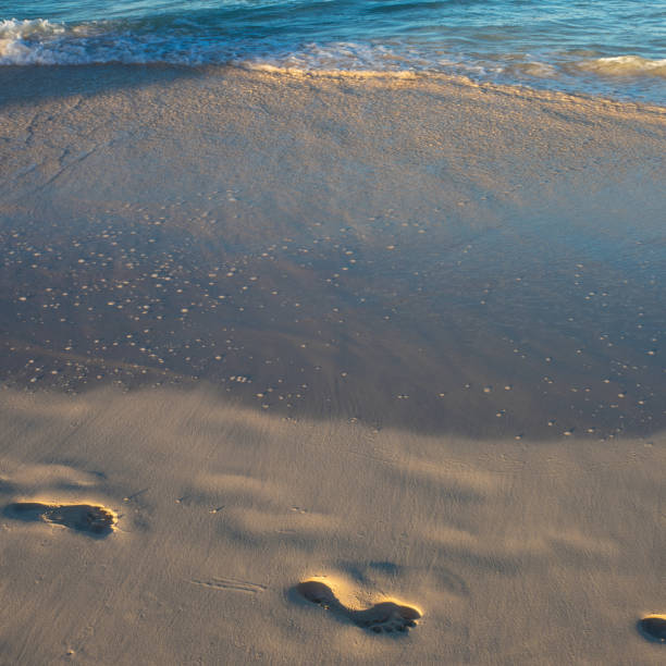 istock Footprints in the sand. walking by the sea. Footprints on the light sand 1406364795