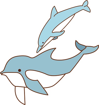 A swimming dolphin.