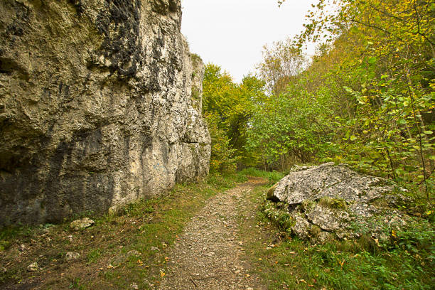 istock Autumn landscape with rock 1406368016