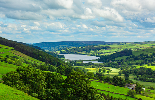 Gouthwaite Reservoir in Nidderdale, an area of outstanding natural beauty in Summertime with lush green fields, forests and livestock.  Yorkshire Dales, UK.  Copy space.  Horizontal.