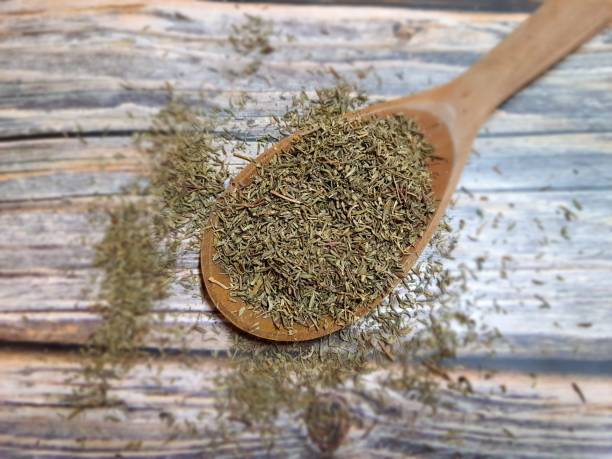 istock Oregano (Origanum vulgare) dried, dehydrated in a wooden spoon 1406374702