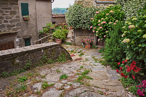 Trappola, Loro Ciuffenna, Arezzo, Tuscany, Italy: old alley with flowers and plants of the picturesque village in the Apennine mountains