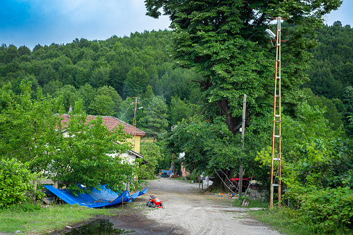 View from a small settlement in a lush nature. A view of a village in the Black Sea with dense trees. Turkey, Zonguldak, Kilimli