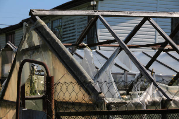 Old wooden greenhouse with torn polyethylene film. abandoned villages