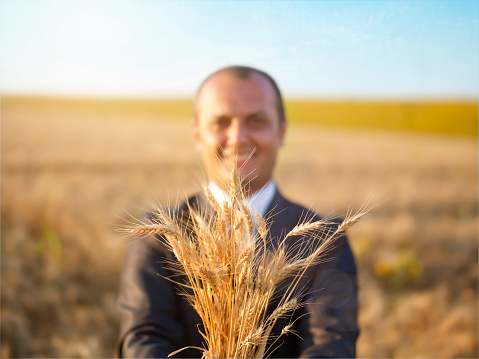 Businessman holding a bunch of wheat from harvest