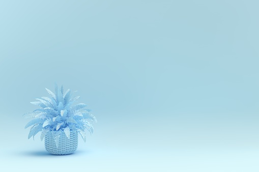 3D Potted plant