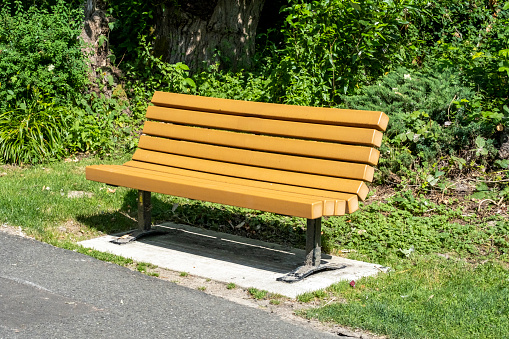 In a public park, a bench awaits tired walkers. It is a sunny summer day.