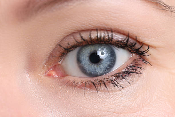 istock Beautiful blue female eye looking in camera 1406392122