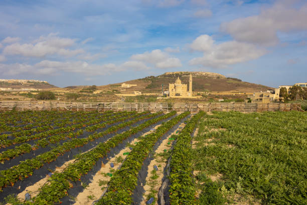 Basilica of Ta' Pinu on Gozo island stock photo