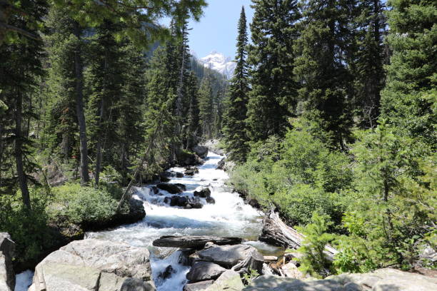 istock Looking upstream to the Rocky Mountains. 1406394558