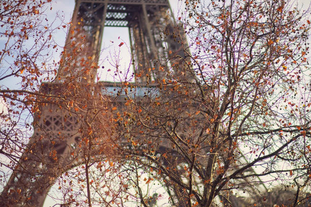 Eiffel tower from public park in autumn, Paris, France