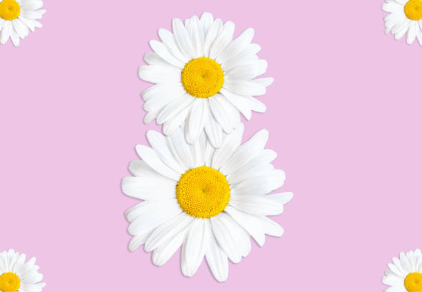 istock Women's Day floral background 1406402318