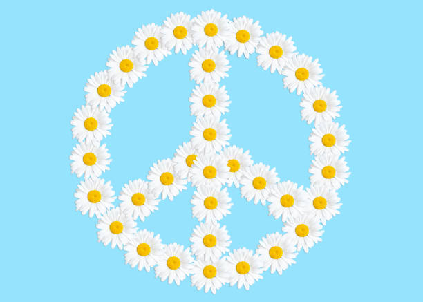 Peace sign made from fresh daisies isolated on blue background. Flower power concept.