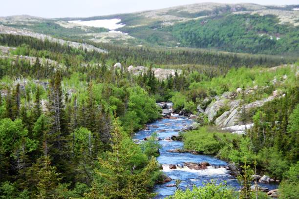 labrador snow at the top ,waterfall at the end - peninsula imagens e fotografias de stock