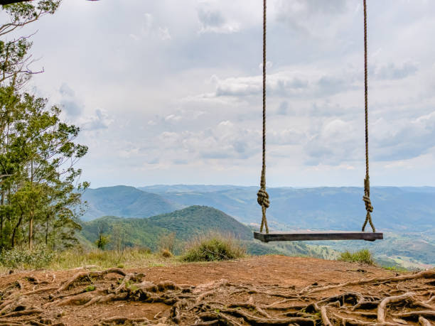 A rustic wooden swing hanging from a tree with rope.