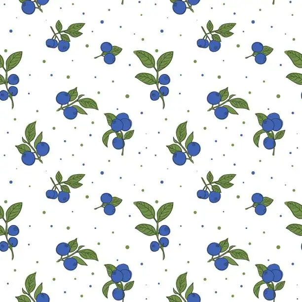 Vector illustration of Seamless pattern with fresh blueberries, blueberry bushes. Pattern for textiles, wrapping paper