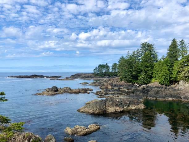 istock Rocky Beach Area at Ucluelet 1406414255