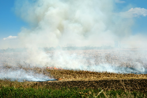 Controlled fire of agricultural field