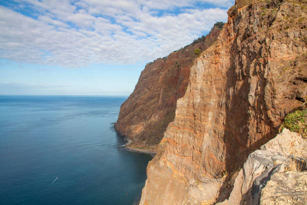 A striking view of a coastal cliff covered with vegetation, contrasting with the calm ocean waters and distant mountain range under a cloudy sky, evoking a sense of tranquility and natural beauty. from Funchal, Madeira Portugal