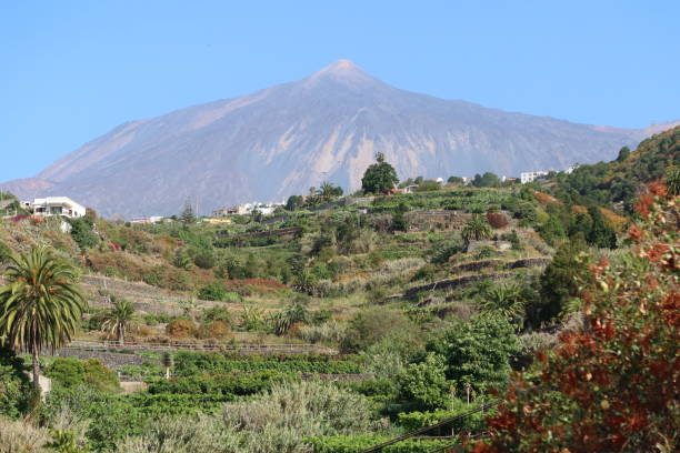 istock Teide volcano from Icod de los Vinos, Tenerife, Spain 1406425605