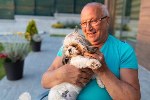 istock Happy Senior Man with His Dog 1406427318