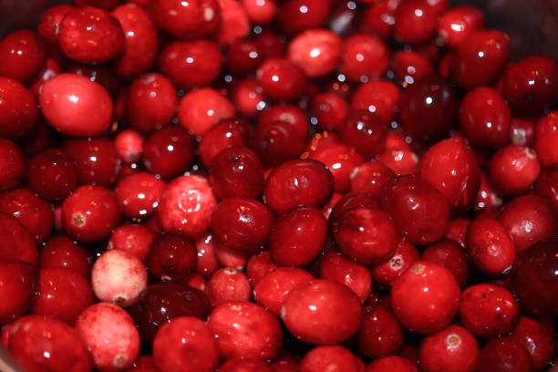 istock Homemade cranberry sauce 1406429140