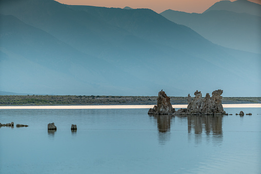 Tufa in Mono Lake