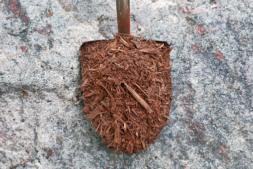 Close up of Shovel filled with heap of mulch on granite rock background