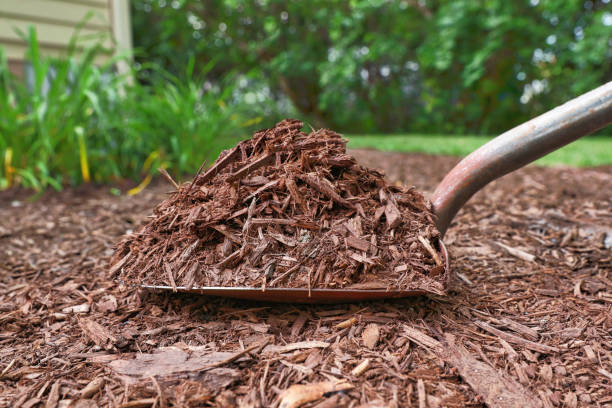 Close up of shovel filled with mulch in back yard garden