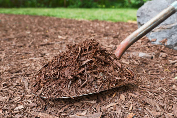 istock Shovel filled with mulch and back yard garden 1406447013