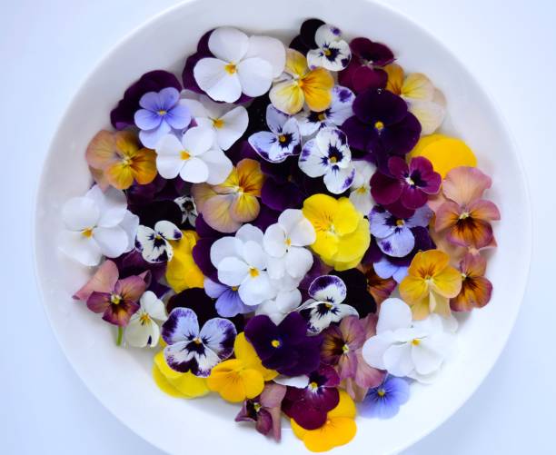 istock edible flowers on a plate 1406450904