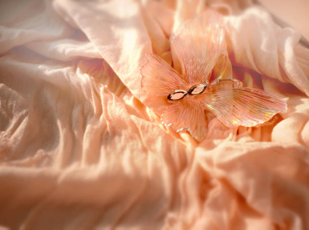 Minimal style, crystal butterfly on  elegance  beige background, boho softness aesthetics